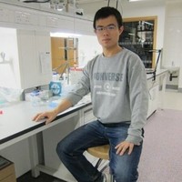 Dongdong Yuan