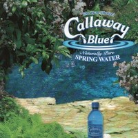 Ken Callaway