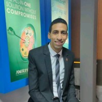 Alaa Elfaramawy