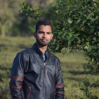 Bilal Ansari
