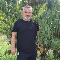 Yilmaz Arslan