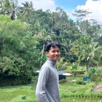 Nur'Alim Wijaya