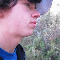 Daniel Judge