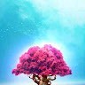 Manjunatha M