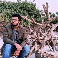 Md. Raisul Islam