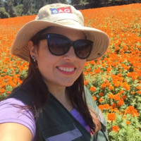 Mariela Saez Chamorro