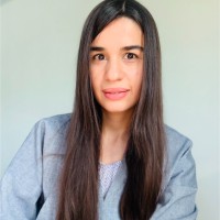 Sepideh Farsi