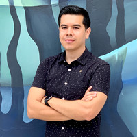 Julián Castañeda F.