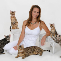 Stacy Hansen