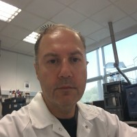 Daniele Ivan Riolo