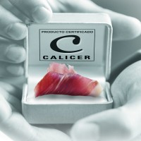 CALICER - Sebastian Vidal Martin