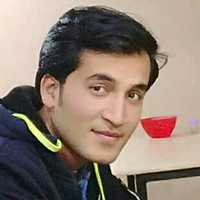 Syed Waqar Hussain Gilani