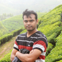 Raja N
