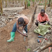 Agronomist Gerald Nazareth