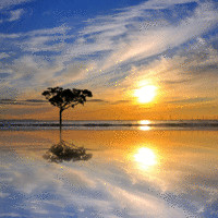 Sue Davies