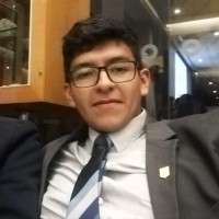 David Alonso Lozada Barrera