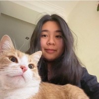 Bam Huynh