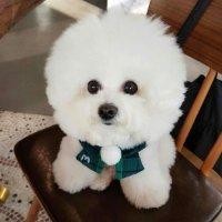 冯子月