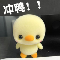 李晓飞