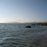 曾卫红
