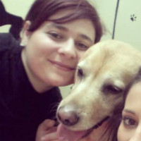 Francesca Morbidelli