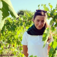 Costanza Calvi