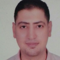 Mohamed Elfeky,Pmp