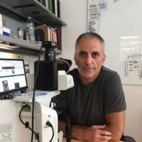 Luis Chiriboga