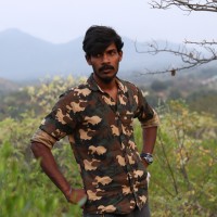 Gopiraja J