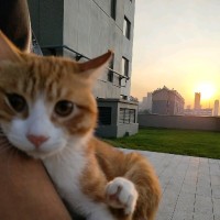 侯武杰