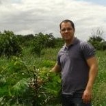 Francisco Ortolan Santos