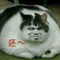 杨焱鹏