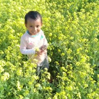 Shahadat Hossain