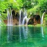 Trọng Nguyện Undefined