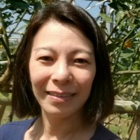 Ling Ing Tan