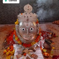 Hukamchand Maida