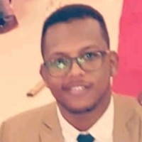 ALAAELDIN MOHAMED ALI HAMED