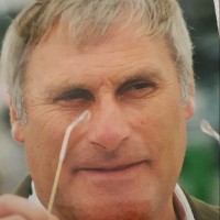 Harald Tverberg