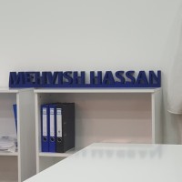mehvish hassan