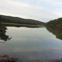 Paul Cleary