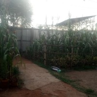 zebenu abera