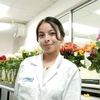 Mariana Moncayo Rios