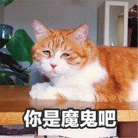 马健淞