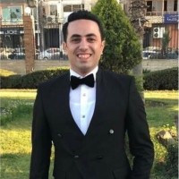 Mohamed Atef Elmansy