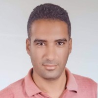 Haitham Fahim