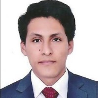 Enrique Vicente Toledo