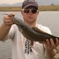 Anthony Steyn