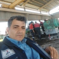 Farhad Mahmoudirad