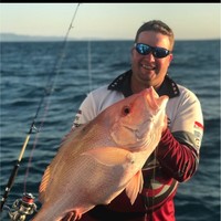 Brad Hinrichsen