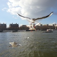 Azza Al Hinai